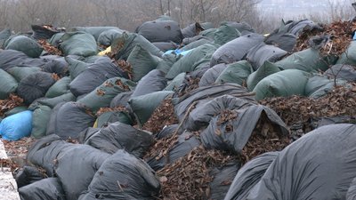 У Рівному безкоштовно забирають листя на біогумус. Що варто знати
