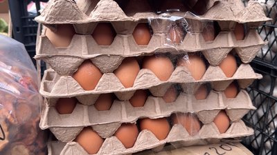 Ціни на яйця зросли на 18%: що кажуть фахівці, продавці та покупці на луцьких ринках Ціни на яйця зросли на 18%: що кажуть фахівці, продавці та покупці на луцьких ринках