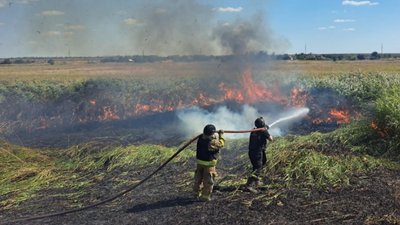 Наслідки пожежі через обстріли РФ, Запорізька область