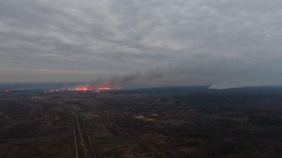У соцмережі публікують пожежу біля прикордонного села на Рівненщині. В ДСНС прокоментували