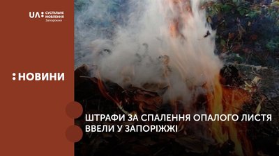 Штрафи за спалення опалого листя ввели у Запоріжжі