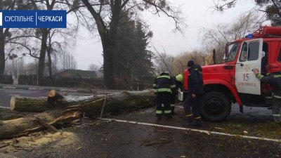 Чотири повалених дерева за добу заважали руху на автошляхах Черкащини