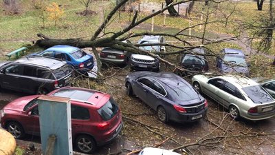 На Чернігівщині через сильні пориви вітру без світла залишаються жителі 77 населених пунктів