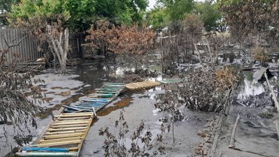 підтоплення підтоплення