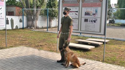 На Хмельниччині медаллю «За віддану службу» 3-го ступеня нагородили собаку Тора