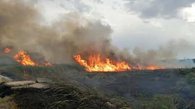 Горять очерети, суха трава, поля. На Дніпропетровщині за добу сталося 37 пожеж в екосистемах