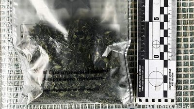 Вирощували в теплицях психотропні рослини. На Миколаївщині затримали двох чоловіків Вирощували в теплицях психотропні рослини. На Миколаївщині затримали двох чоловіків