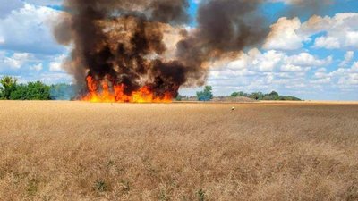 Російські військові спалили 50 гектарів полів Криворізького району