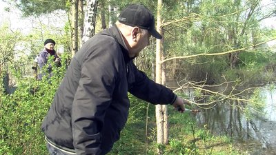 Дачний сезон на Волині: як лучани дістаються до заміських городів і що вирощують