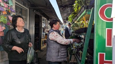 Коли висаджувати розсаду в ґрунт: поради волинських агрометеорологів Коли висаджувати розсаду в ґрунт: поради волинських агрометеорологів