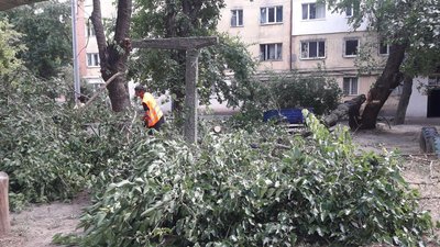 Травмовані люди, підтоплені домівки та повалені дерева: наслідки негоди на Одещині Травмовані люди, підтоплені домівки та повалені дерева: наслідки негоди на Одещині