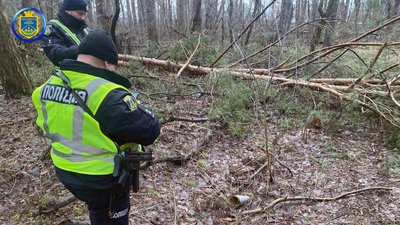У лісі біля села Горенка виявили частину артилерійського снаряда 122 калібру