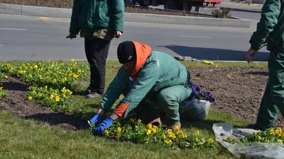 На площі в Одесі з квітів викладуть Герб України На площі в Одесі з квітів викладуть Герб України