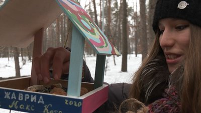 Чим підгодовувати птахів узимку: поради черкаських зоологів Чим підгодовувати птахів узимку: поради черкаських зоологів