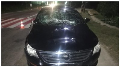 На Мелітопольщині водій скоїв наїзд на пішоходів, двоє з них у реанімації
