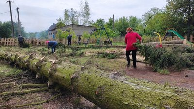 Дерева викорчувало за хвилину: в селі на Волині люди прибирають наслідки буревію та рахують збитки Дерева викорчувало за хвилину: в селі на Волині люди прибирають наслідки буревію та рахують збитки