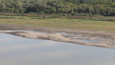 У Чернівецькій області через посуху обмілів Дністер. Які наслідки для довкілля та людей У Чернівецькій області через посуху обмілів Дністер. Які наслідки для довкілля та людей