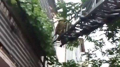 У Херсоні рятувальники зняли з балкону 10-річну дівчинку