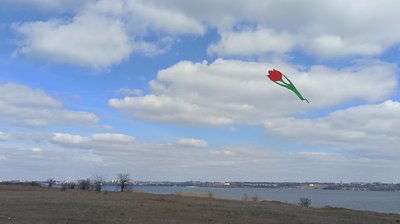 В небо над Миколаївщиною запустили семиметрові тюльпани В небо над Миколаївщиною запустили семиметрові тюльпани