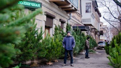 Одеса ялинки стартував продаж