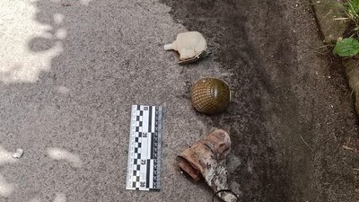 У Рівному на дереві знайшли вибуховий пристрій У Рівному на дереві знайшли вибуховий пристрій