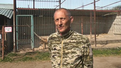 Скандал із левами у Хмельницькому: зоозахисники звинувачують центр для диких тварин