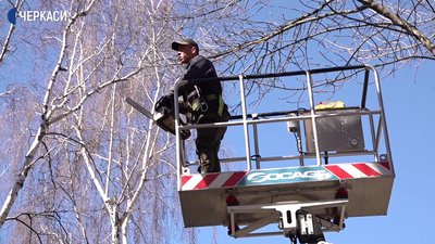 У Черкасах проводять санітарну обрізку дерев У Черкасах проводять санітарну обрізку дерев