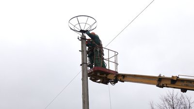 На Рівненщині лелекам роблять "безпечні гнізда". Навіщо вони потрібні На Рівненщині лелекам роблять "безпечні гнізда". Навіщо вони потрібні