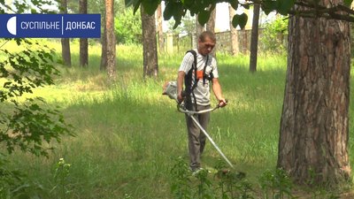 У Сєвєродонецьку у міському парку третій рік живе безпритульний
