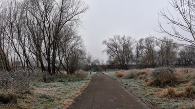 Погода, Івано-Франківщина, довкілля