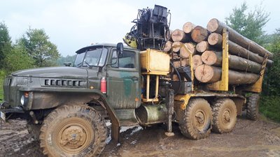 На Закарпатті поліцейські затримали вантажівку з незаконно зрубаною деревиною