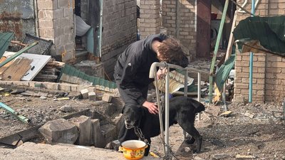 Собака родини, в якій загинули батьки, а діти дістали поранення