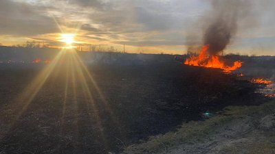 На Миколаївщині горів очерет На Миколаївщині горів очерет