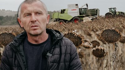 Збір соняшникового насіння на Рівненщині