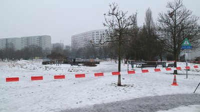 Загибель українки в Берліні
