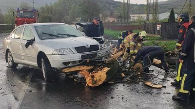 Пошкоджене авто внаслідок падіння дерева Пошкоджене авто внаслідок падіння дерева