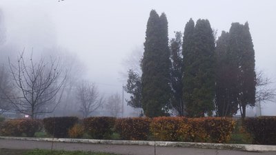 Туман у Хмельницькому, 13 листопада 2025 року