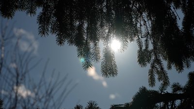 Рекорд, довкілля, погода, Івано-Франківщина