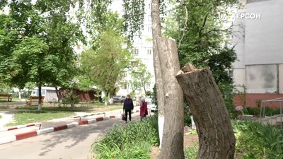 У Херсоні мешканці одного з будинків стали на захист зелених насаджень
