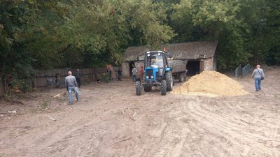 "Почали розчищати закинуту будівлю": у Коропі на Чернігівщині створять притулок для собак "Почали розчищати закинуту будівлю": у Коропі на Чернігівщині створять притулок для собак