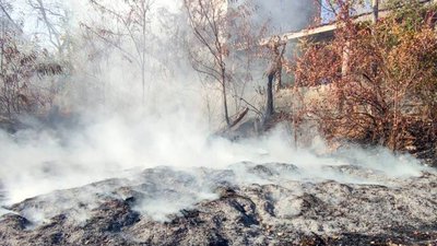 За добу на Дніпропетровщині сталося понад 60 пожеж в екосистемах