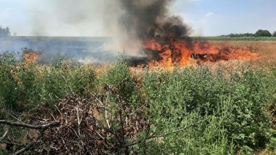 Пожежі в Запорізькій області 8 серпня внаслідок обстрілів