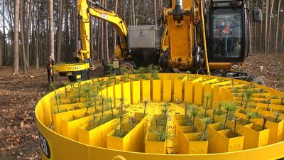 Висадка сіянців відбувається автоматично. 11 листопада 2022 рік Висадка сіянців відбувається автоматично. 11 листопада 2022 рік