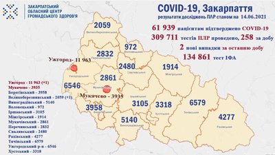 Два нові випадки COVID-19 виявили на Закарпатті за добу