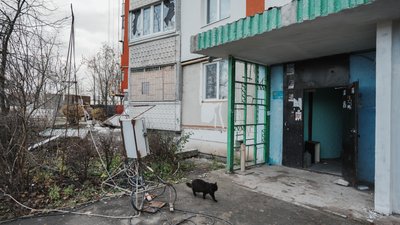 кішка