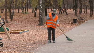 Шлях листя: хто як та за скільки вивозить опале листя з луцьких дворів та доріг Шлях листя: хто як та за скільки вивозить опале листя з луцьких дворів та доріг