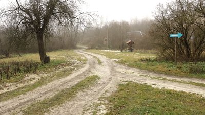 Прикарпатське село Озерце: холодні хати і теплі спогади Прикарпатське село Озерце: холодні хати і теплі спогади