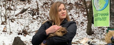 "Еволюція їх до такого не готувала". Як війна вплинула на популяцію бабаків на Харківщині "Еволюція їх до такого не готувала". Як війна вплинула на популяцію бабаків на Харківщині