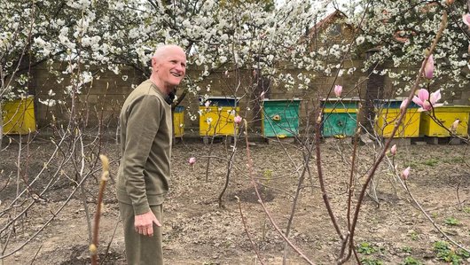 "Як таку квітку не любити?!": 74-річний господар із Луцького району вирощує сотні магнолій