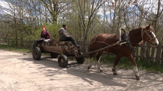"Рибу ловимо, корівку тримаємо": життя у селі, що потрапило в зону радіаційного забруднення після аварії на ЧАЕС